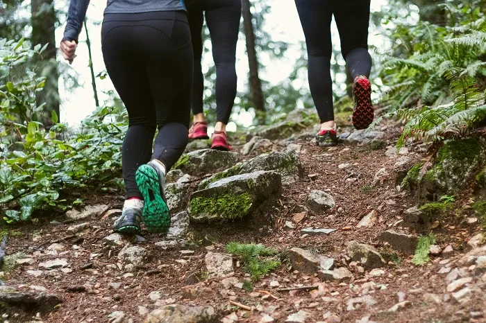 Group walking through a forest during outdoor therapy at a drug and alcohol rehab in Leicester or near Leicester
