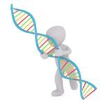 stem-cell-therapy-addiction-cure