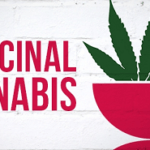 cannabis-top