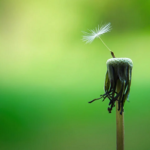 mindfulness-beat-cravings