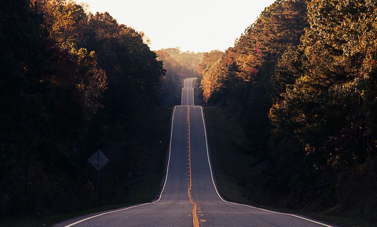 A bumpy road surrounded by trees