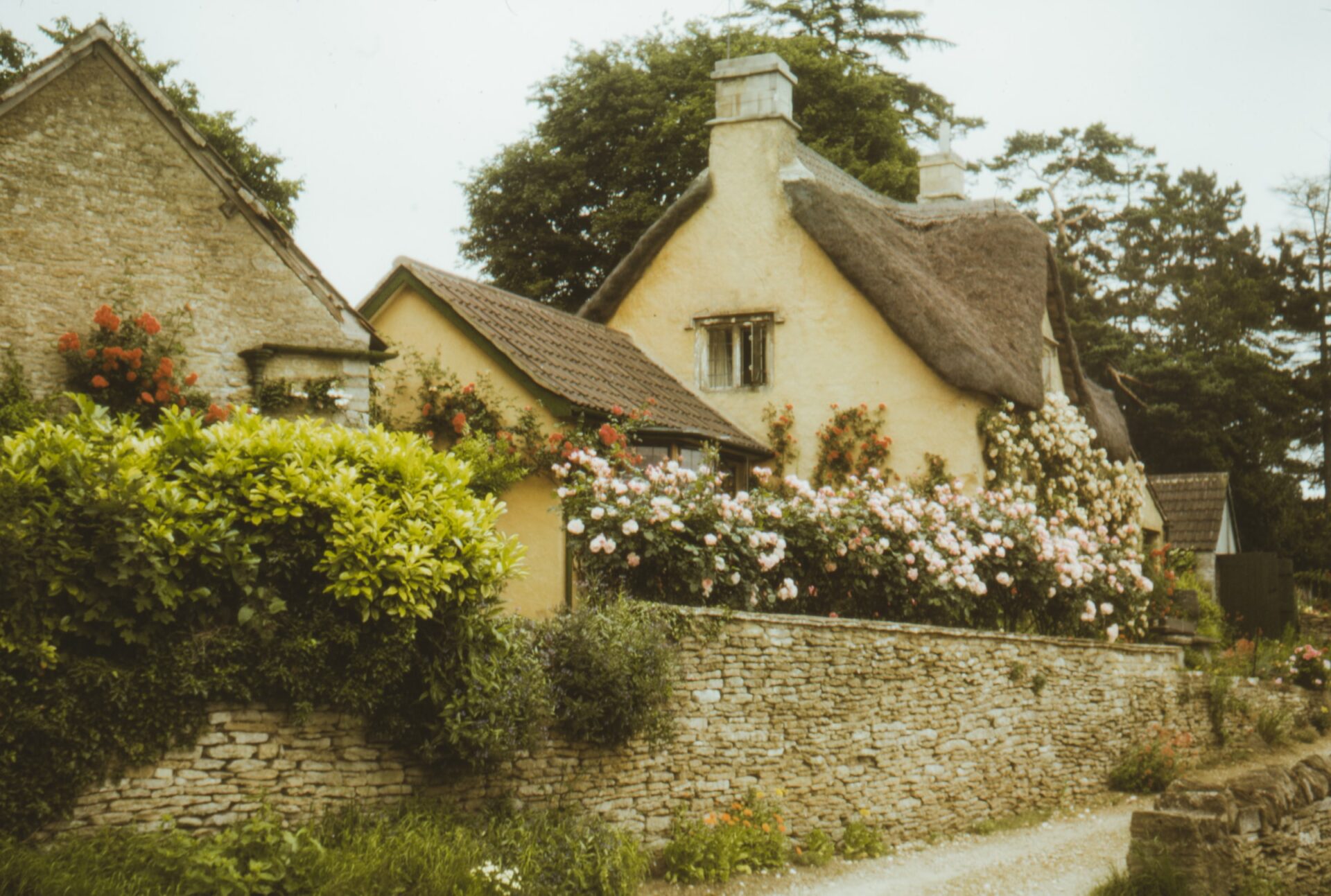 A cottage with roses up the wall