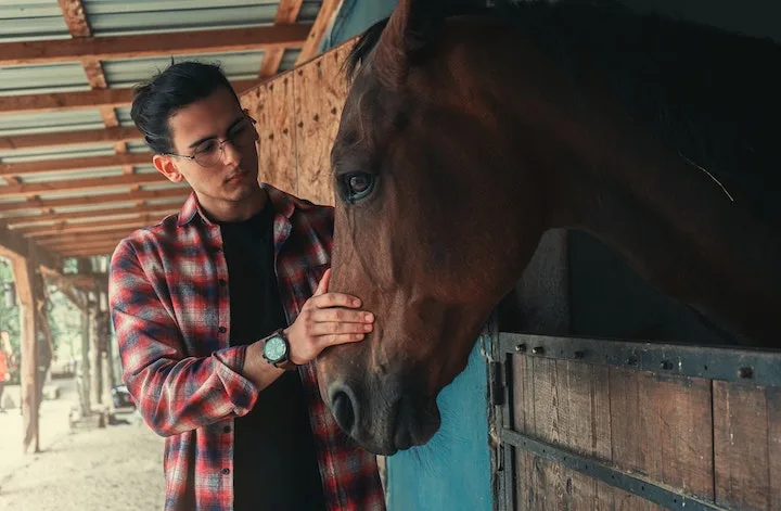 Man interacting with a horse during equine therapy