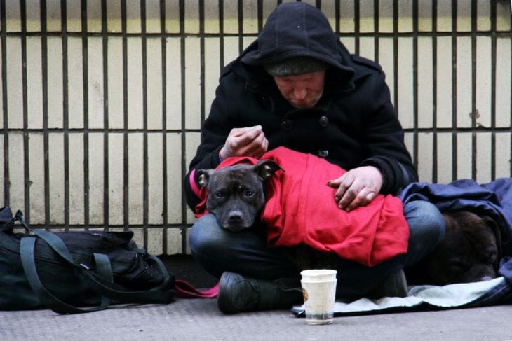 Man sat outside with a therapy dog