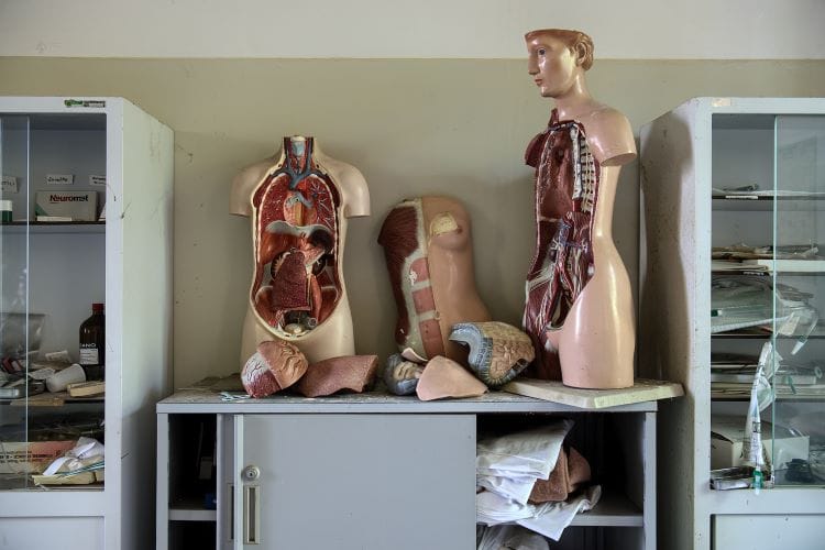 Dummies showing the human anatomy