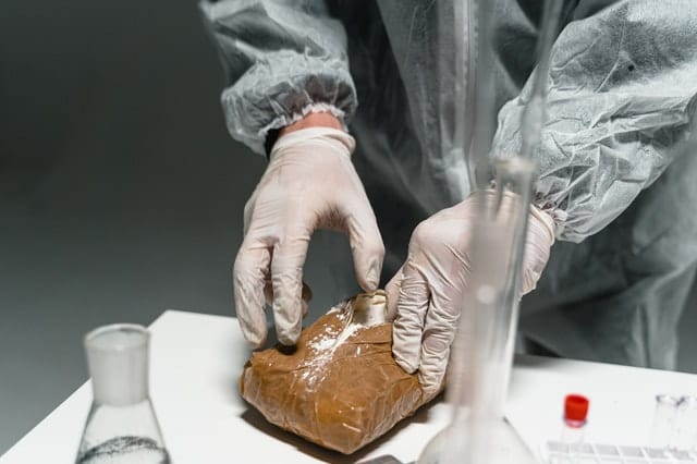 Laboratory technician testing a sample of monkey dust