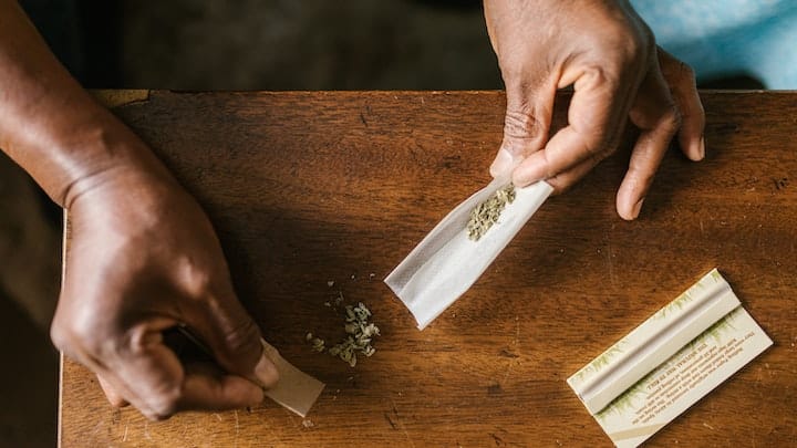 Person assembling a joint and thinking about if cannabis is a gateway drug
