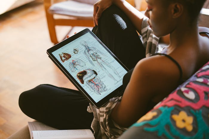 Woman looking at the human anatomy, including the liver