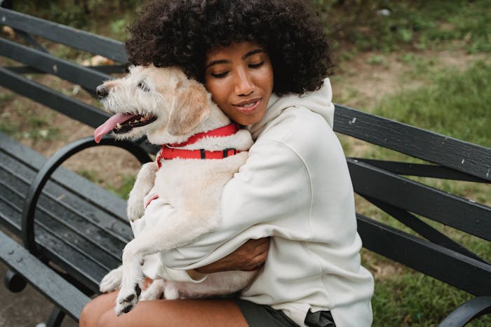 Someone hugging a dog sat on a bench 