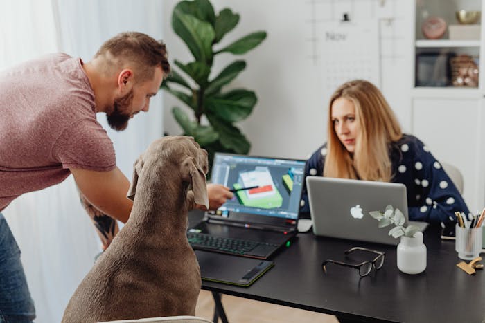 Bring Your Dog To Work Day 2026