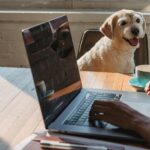 Bring Your Dog To Work Day 2026