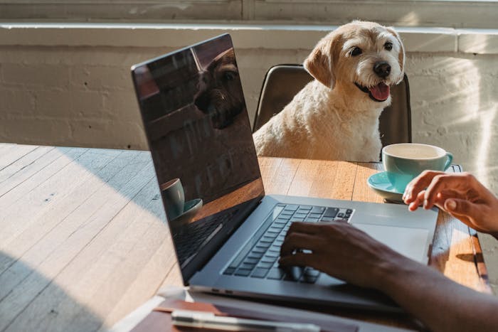 Bring Your Dog To Work Day 2026