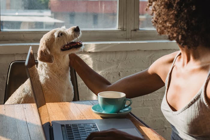 Bring Your Dog To Work Day 2026