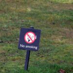 World No Tobacco Day